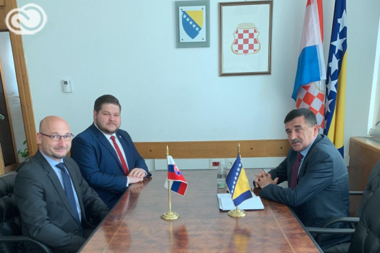 Zamjenik predsjedavajućeg Delegacije PSBiH u PSNATO-a Nikola Lovrinović razgovarao sa ambasadorom Republike Slovačke u BiH